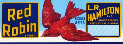 Red Robin